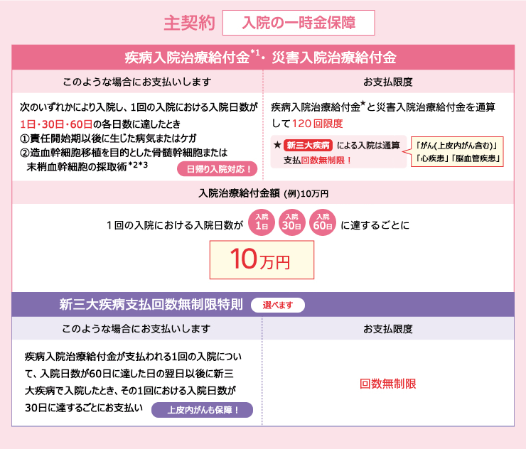 限定告知医療保険　主契約　入院の一時金保障